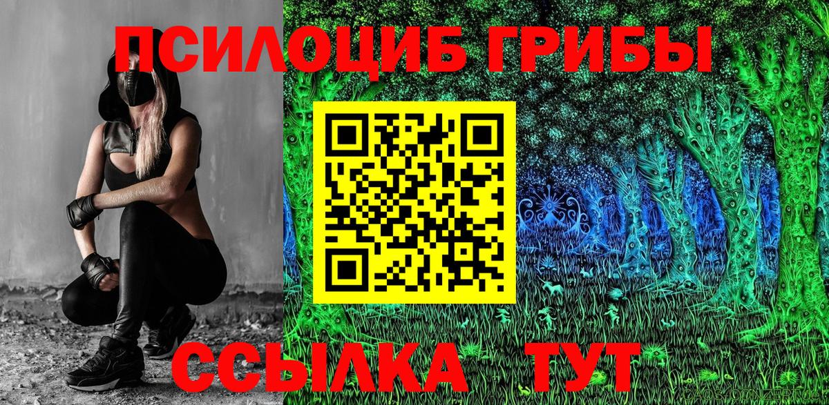 Новоалександровск  купить наркоту  Галлюциногенные грибы MAGIC MUSHROOMS  Вход с VPN  Галлюциногенные грибы прущие грибы 